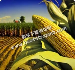 为您呈现最全面、最及时的体育赛事信息 - 海星体育