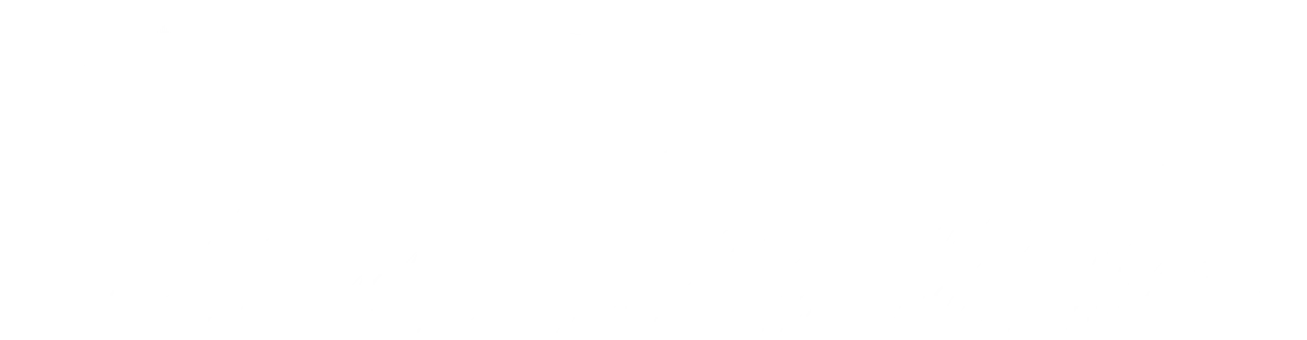 平台核心优势 - 海星体育